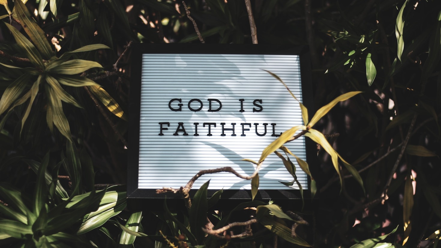 Bridging Distances: Faith in the Digital Age